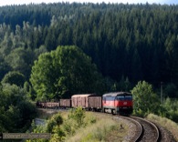 06-D-3988