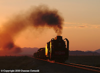 03-D-1293-w