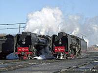 03-D-1737-t