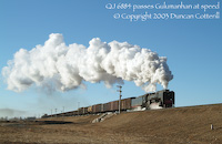 03-D-1774-w