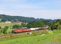 08-D-1197-t