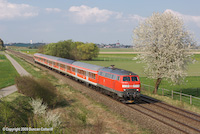 09-D-1089-t