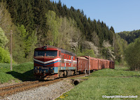 09-D-1331-t